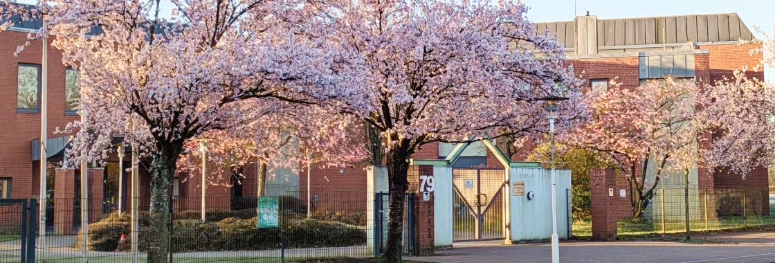 ハンブルグ日本人学校