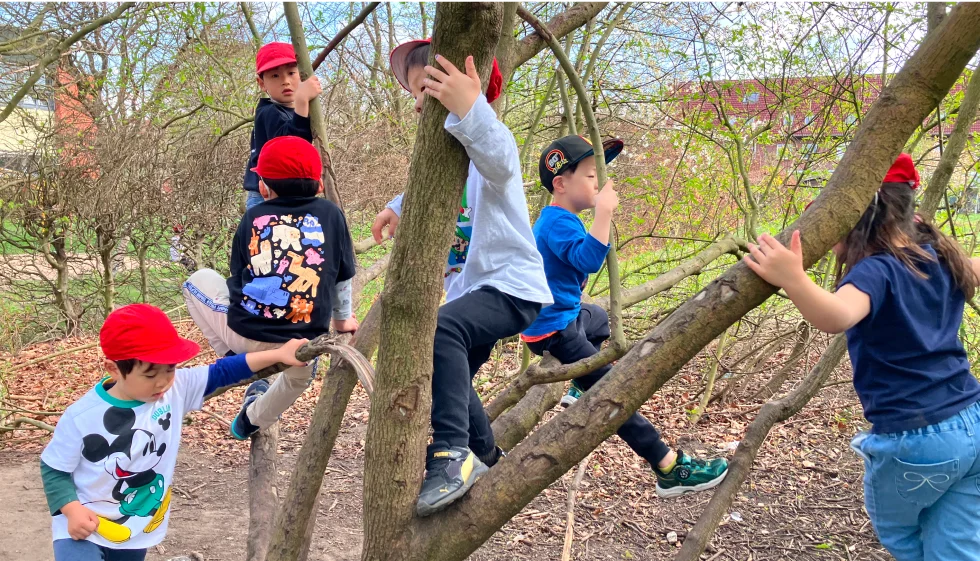 校庭で木登りする子供たち