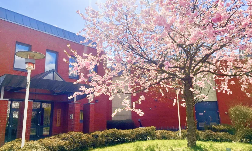 ハンブルグ日本人学校の校舎と桜"